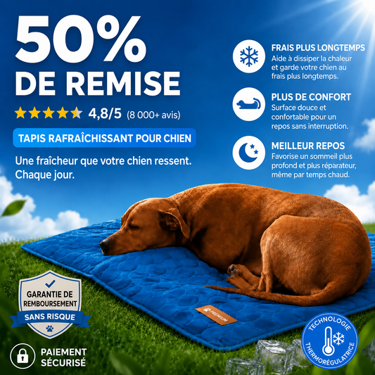FraisRest™ – Tapis Rafraîchissant pour Chien