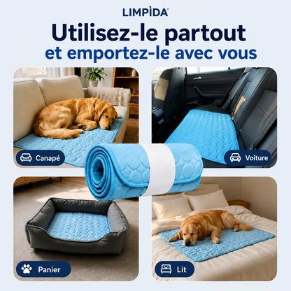 FraisRest™ – Tapis Rafraîchissant pour Chien